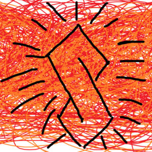 Meet your Posher, Shea